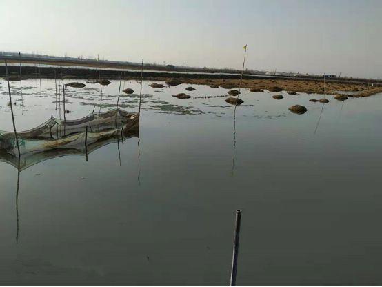 什么是肥水？可能你们都肥错了