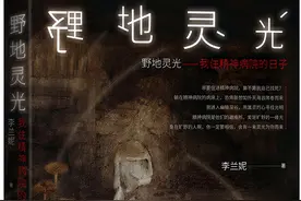 是患者也是作家，走出精神病院，李兰妮新作《野地灵光》疗愈自我关照他人图片