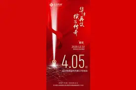 湖北信达深耕鄂豫十九载再出发，4.05亿拿地监利图片