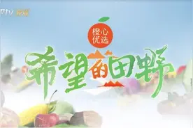创新“电商直播+助农带货”新模式 芒果TV《希望的田野》打造扶贫“新农潮”图片