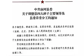 中共唐河县委关于调整县四大班子主要领导及县委常委分工的通知图片