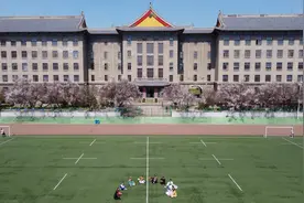 花开高校 浪漫满园——哈工程杏树迎春盛开图片