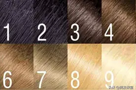 微潮色冷棕褐色，用这个公式，一步到位染出来图片