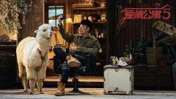 爱情公寓5经典语录（中）