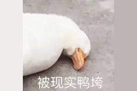 长春五月房价出炉！学区房进入“冰冻期”？图片