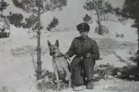 三只警犬寻枪记，83年无极县民兵武器库2.27重大盗枪案侦破始末图片