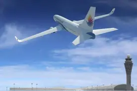 机长与乘务长空中斗殴，牙都打掉了！这让乘客如何惊恐自处？图片