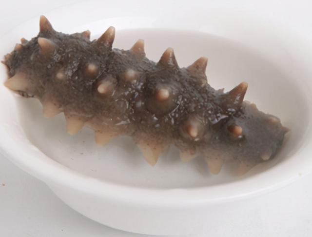 花胶和羊肉煲汤 2026年花胶和羊肉煲汤的做法