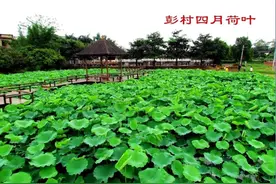 《长安彭村彭祖墓，佛门禅意九龙山（一）》图片