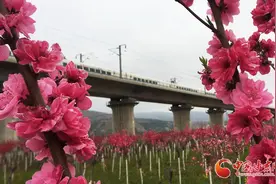 【甘肃省决战决胜脱贫攻坚】天水麦积区：扶贫产业园让贫困户陪读务工两不误（图）图片