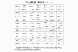 延吉市民对禁养犬只试行标准提异议：长的大也是错？图片