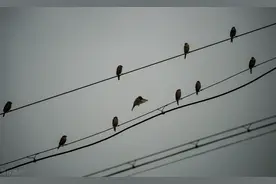 走出灰暗，是另一片天空图片