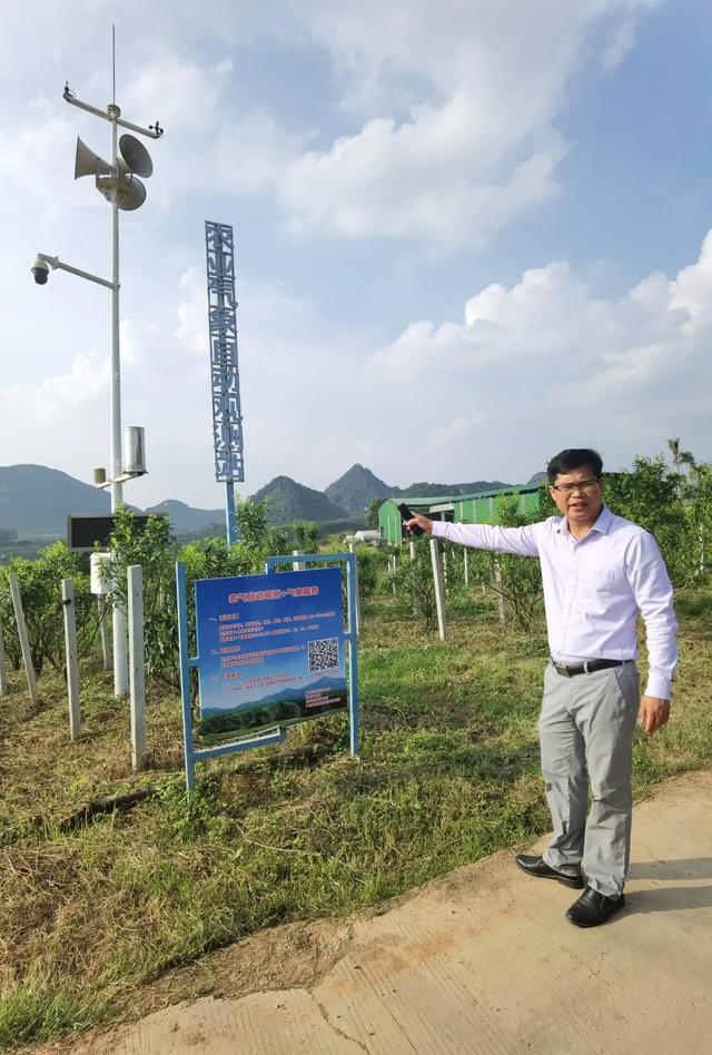 中国沃柑看武鸣！底气为何这么足？