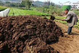 全面的粪肥发酵技术！潭州农业老师手把手教你自制有机肥图片