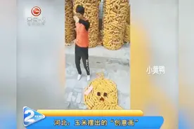 玉米摆出的“创意画”视频封面