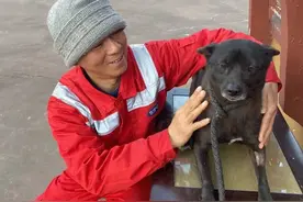 28年间救了9000只猫，这个不务正业的和尚，是Ta们最温暖的爸爸…图片