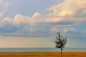 海南房车露营指南图片