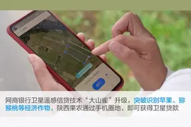 网商银行卫星遥感技术新突破，苹果等多个产业果农申请贷款将更便捷图片