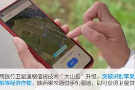 网商银行卫星遥感技术新突破，苹果等多个产业果农申请贷款将更便捷图片
