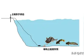 民间流传的一种专钓无鳞鱼的钓法，一钩一线就足够，简单却很好用图片