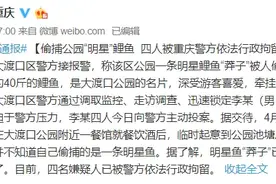 重庆网红鱼“莽子”被偷捕 检察机关可提起公益诉讼图片