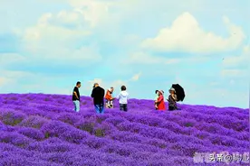 新疆伊犁州推动优势资源融入休闲农业图片