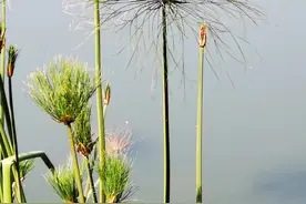 头条简直就是一个垃圾堆图片