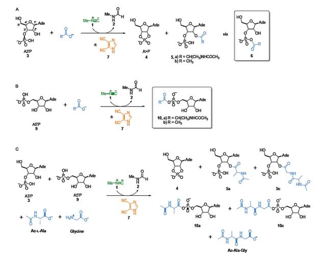 “万世浮华，万宗归一”之异腈