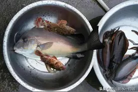 4月深圳海钓正是好时候，有喜欢的朋友一起来！图片