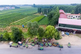 开封瓜农郑州街头排长队卖瓜：在开封只能卖2毛！来这儿还能卖个6、7毛图片