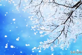 高原，又见雪飞舞图片