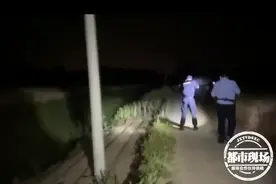 600斤黄牛发疯后狂奔10余里，竟是“晕车”所致？最终丢了性命图片