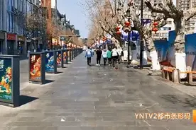 疫情期间旅行团费用怎么退？听听旅行社怎么说图片
