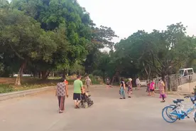 周末去哪玩？快来三亚这些公园“森”呼吸图片