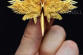 挑战每天折一个不同样式的千纸鹤，这位大神坚持了1000天图片