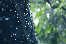【品雨】-听雨声篇图片