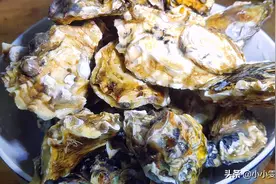 煮海蛎子时别直接下锅煮，牢记这一点，煮出来的又鲜又嫩还不腥图片