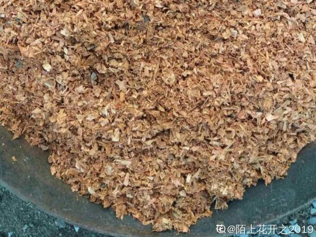 养分含量超高的营养土，自己在家也能做，省下一大笔 买花钱