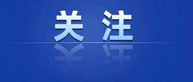 丽江网站建设（丽江四个强化深入推进网络综合治理）