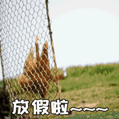 14个教师常用网站,质量高且免费,一个寒假帮你成功逆袭