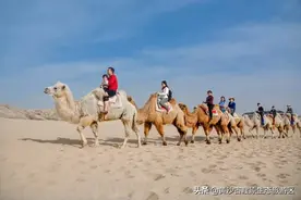 五一假期，宁夏黄沙古渡景区成为本地游的热门选择!图片