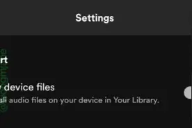 曝 Spotify 将支持安卓手机本地音乐或歌曲播放图片