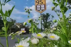 跨区域协作向来不易，这四个省是如何打造“风景共同体”的？图片