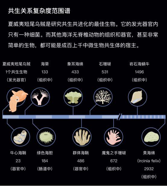 科学家揭秘水下生物的共生关系：借我一个肩膀，还你整片天空