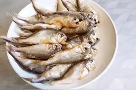 冬天，大连人就“稀罕”吃这5种鱼，钱不贵味还鲜，遇到从不错过图片
