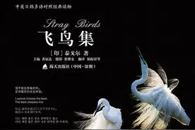 《飞鸟集-167节》世界以痛吻我，还逼我唱歌图片