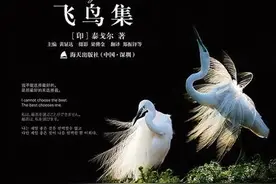 《飞鸟集-167节》世界以痛吻我，还逼我唱歌图片