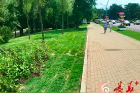 拆了围墙的长春南湖公园拆完之后咋整啊？看，又有了新变化图片