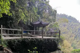 女子称在景区被推下山崖，警方认为没犯罪事实不立案，受害者丈夫：孩子小便遭踹引起图片