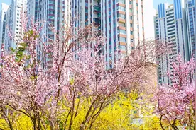 一步一景，春天抚顺美成诗图片